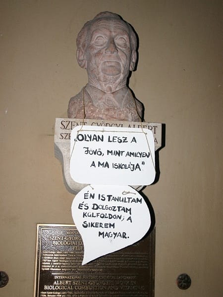 Dóm téri szobrok