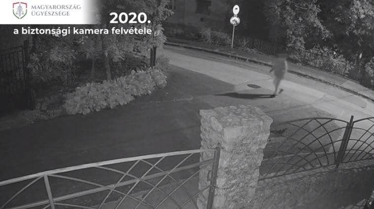 Éveken át mérgezte szomszédja kutyáját egy pécsi férfi - videó