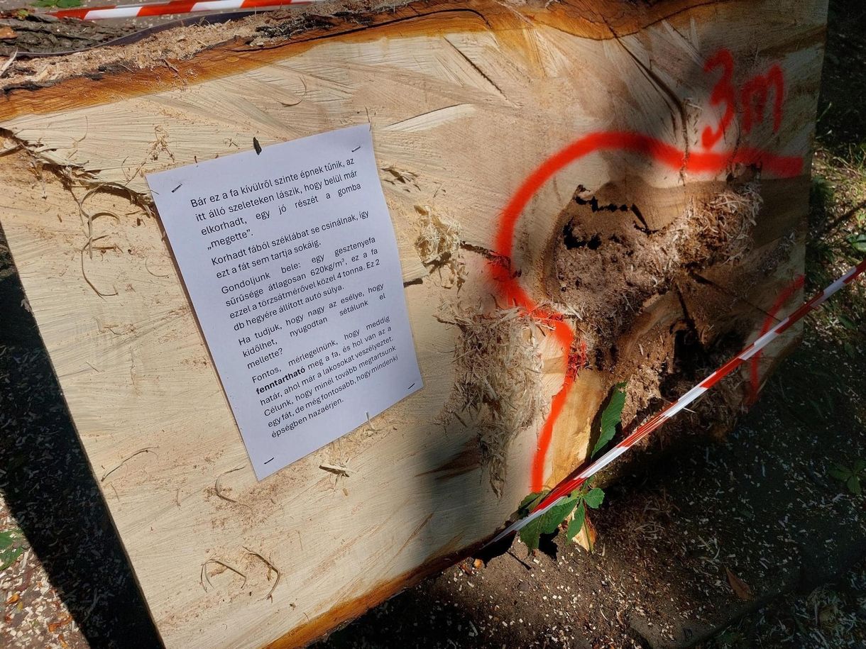 Autóval rontottak neki a faápolóknak Óbudán