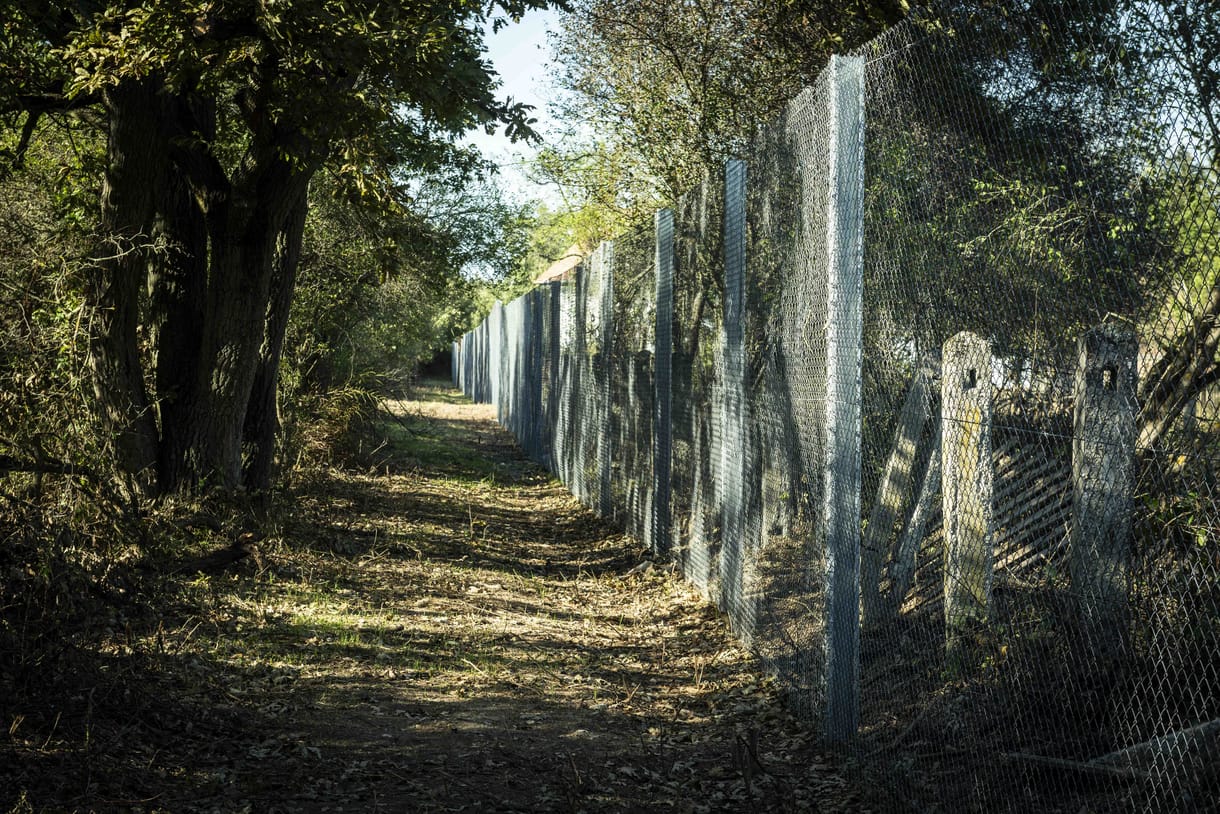 Drótkerítés, rendőrautók és tábori ágyak: 5 milliárdot szántak volna menekülttáborra Vitnyéden