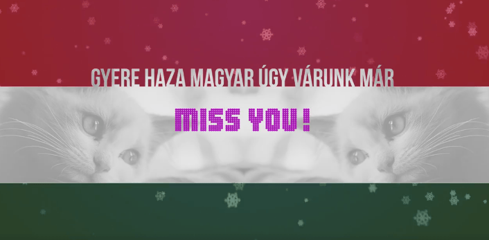 Vége, megbukott a Gyere haza, fiatal! program