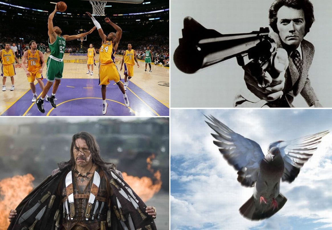 Napi tévéajánló: NBA, Kispál és a Borz, Piszkos Harry, Sorsfordító állatok