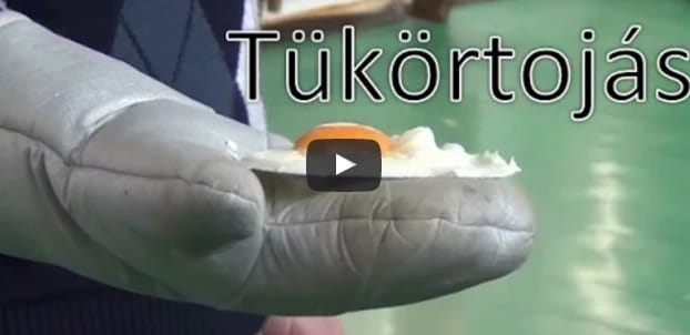 Egy magyar fizikatanár megelégelte, hogy nincs pénz látványos kísérletekre, és kitalált valamit