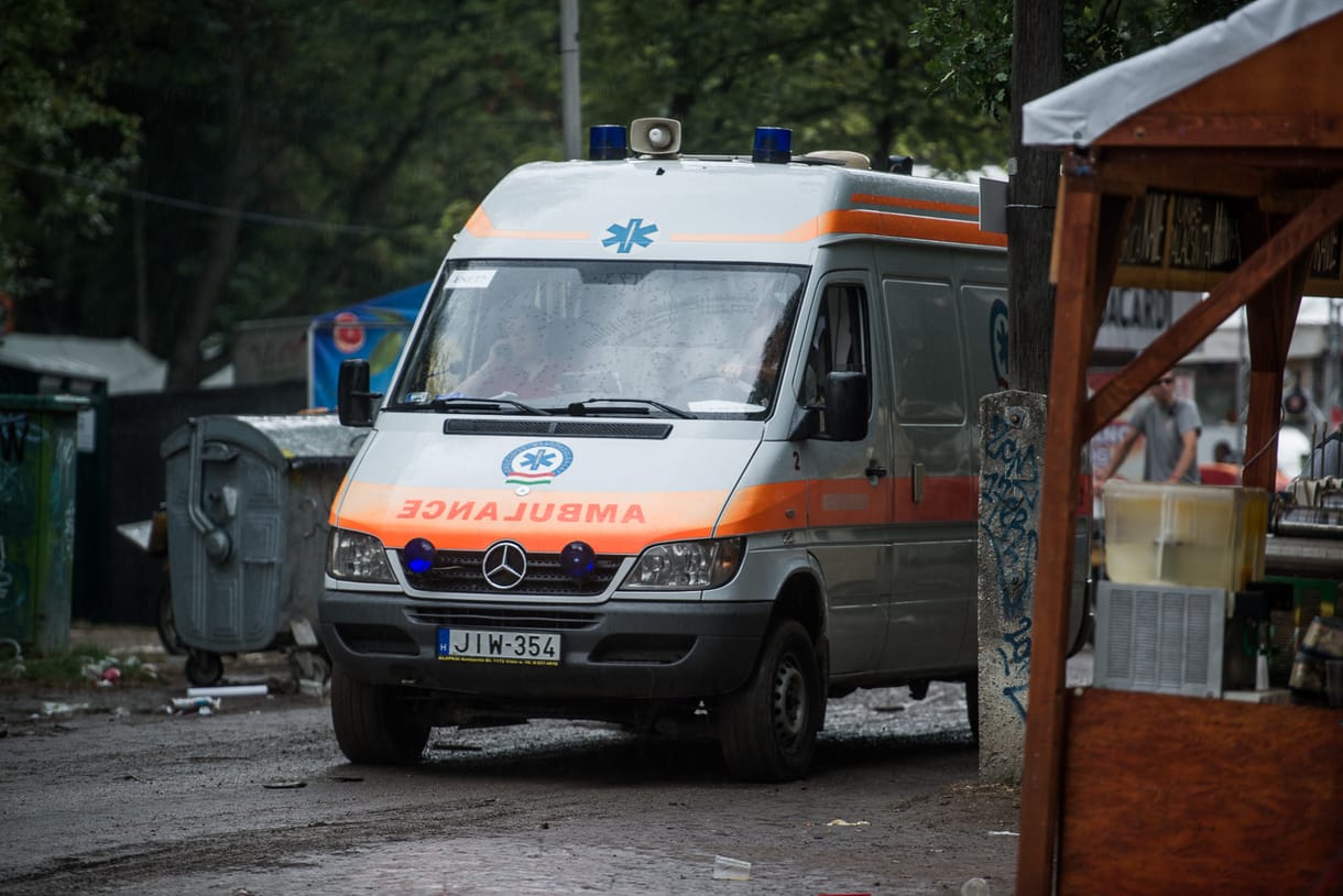 Német gyerekszínész halhatott meg a Szigeten