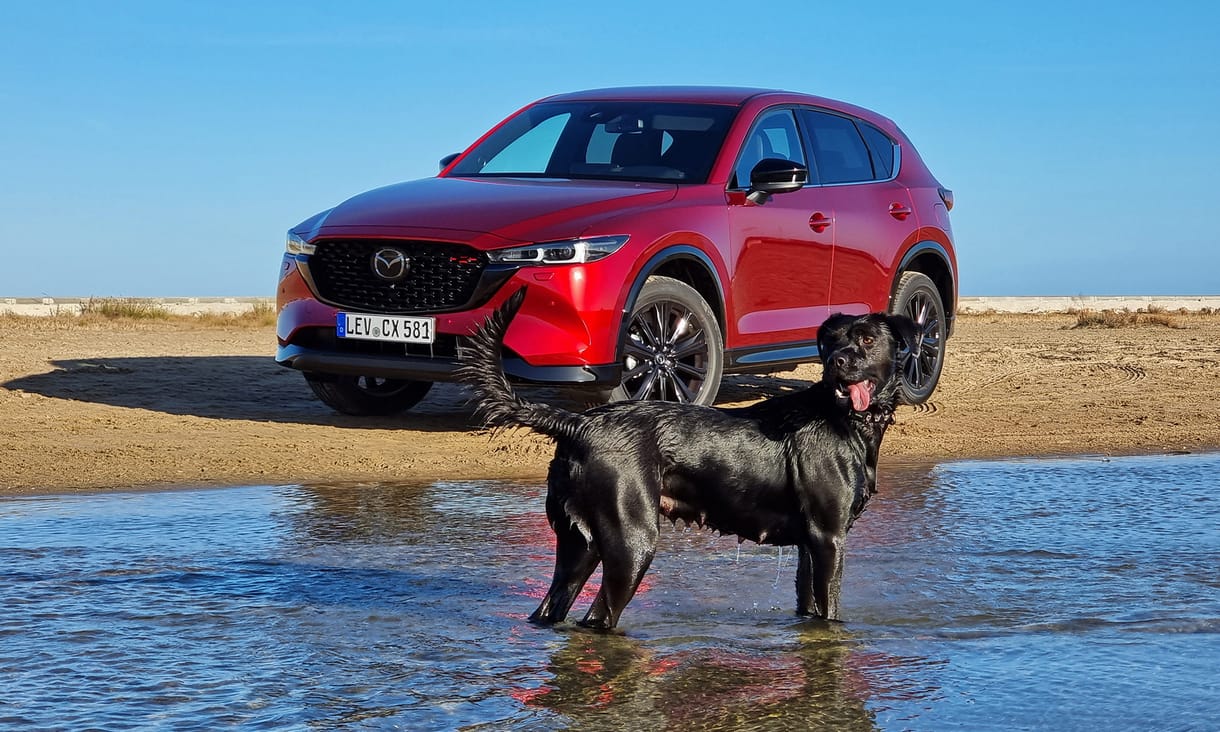 Bőven van élet a villanyautókon túl: 6 hengerrel és új szuper dízelmotorral támad a Mazda