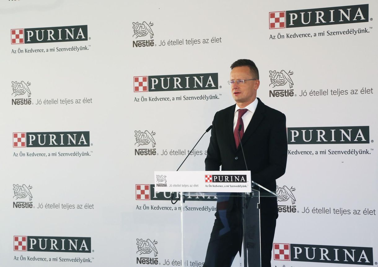 50 milliárdból turbózzák fel a Nestlé büki kutyaeledel-gyárát