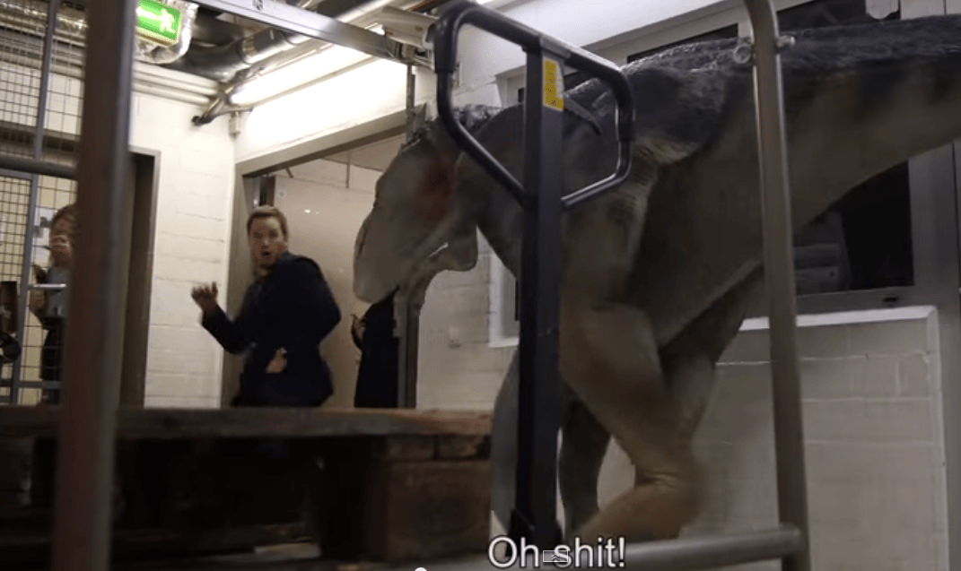 Videó: Dinójelmezzel szívatták meg a Jurassic World sztárját