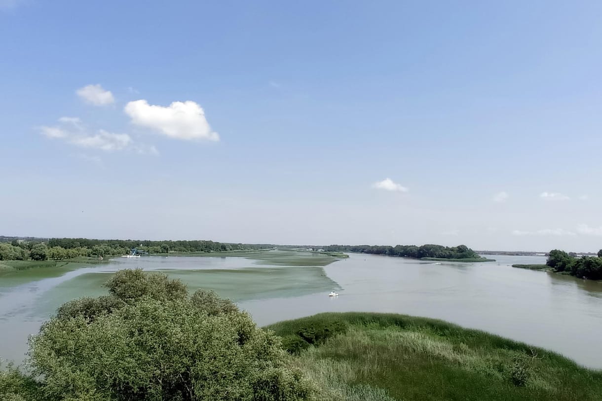 Tiltott ólomsöréttel lőttek ki védett madarakat a Tisza-tó egyik holtágánál.