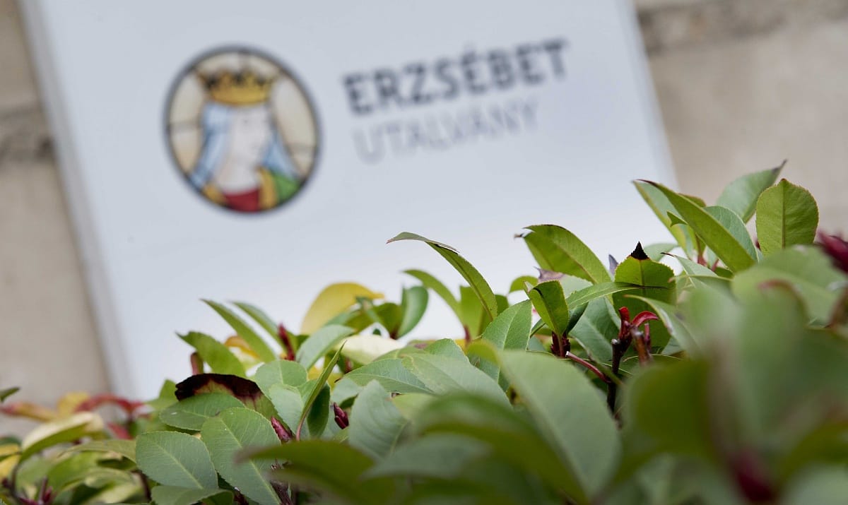 Nyilvánosságra kell hozni, mennyiért hirdették az Erzsébet-utalványt a Habony-lapokban