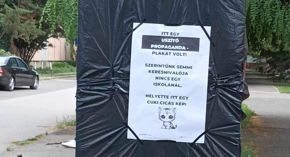 Plakátháború Orosházán: cicás képpel borítják be a háborús hirdetést, a közterület-felügyelők letépik a takarást