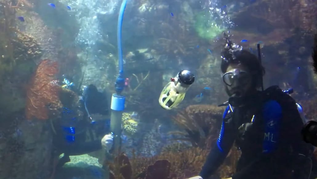 Videó: Polipként úszik egy újfajta robot, segít feltérképezni a tengereket