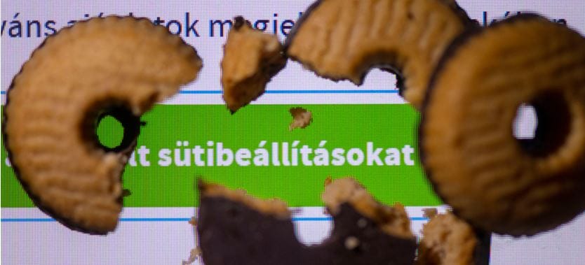 Tisztában van vele, mibe is egyezik bele minden egyes weboldalon?