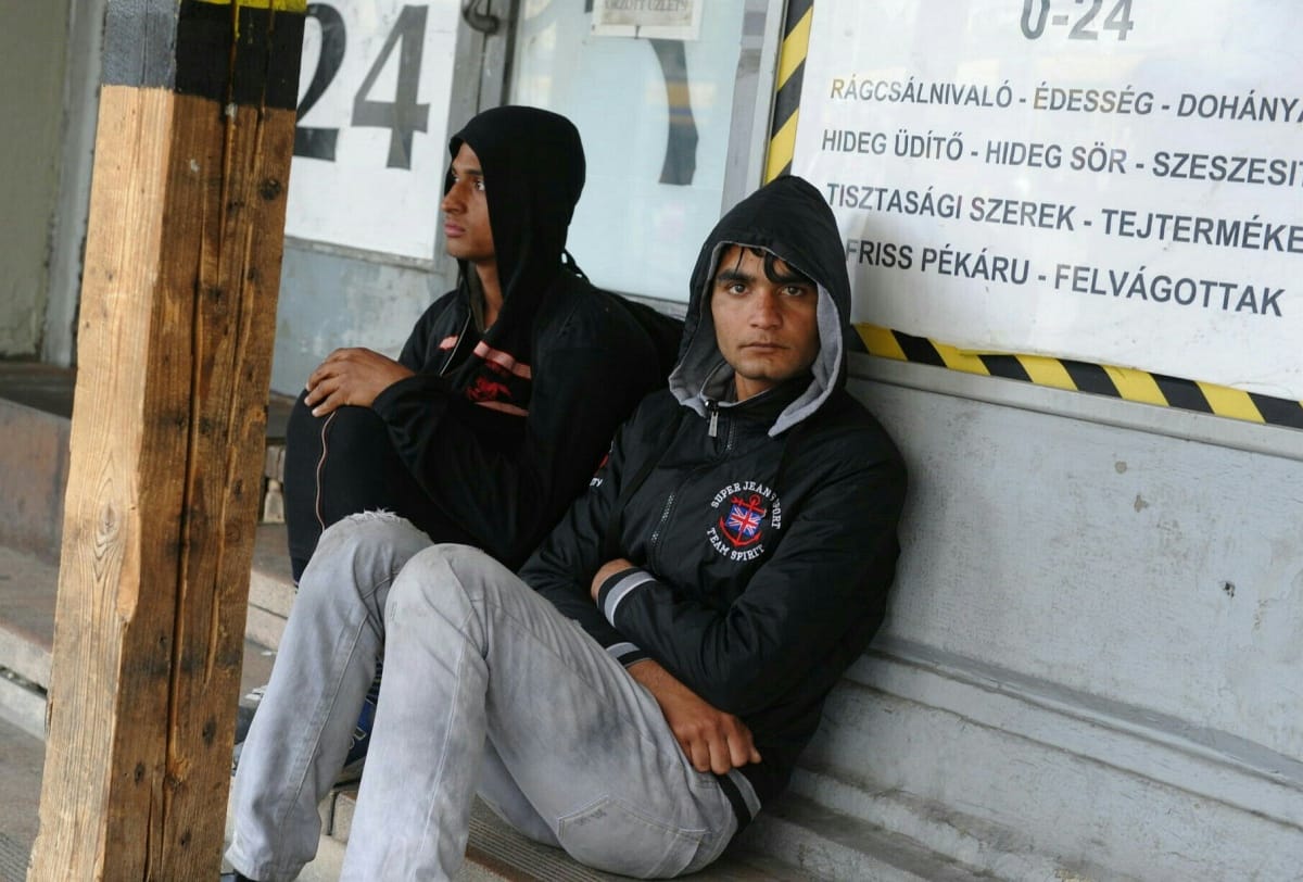 Kósa elképesztő megjegyzést tett a migránsokról a köztévében