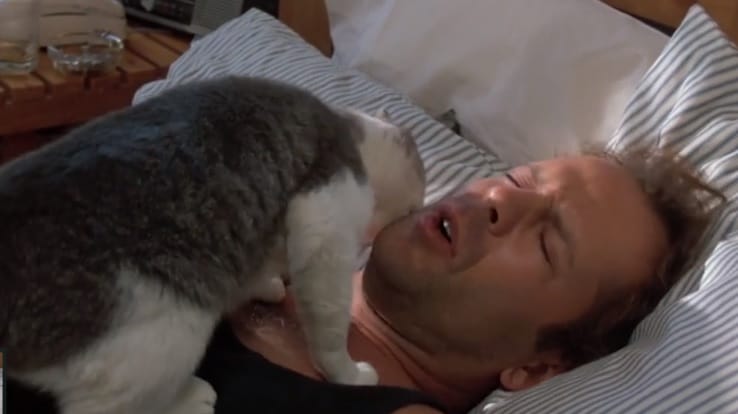 Bruce Willis produkálja a filmtörténet legfájdalmasabb ébredéseit - videó