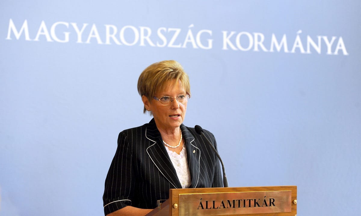 Hoffmann úgy érzi, a kormány következetes