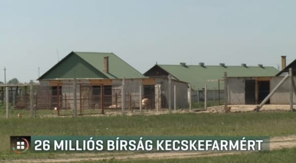 El kellett bontani az engedély nélkül épített önkormányzati kecskefarm egy részét Pocsajon