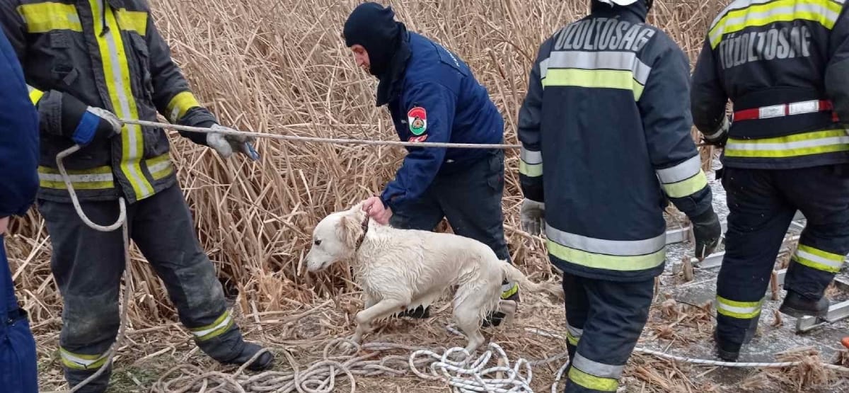 Tizenöt éves lány és kutyája alatt szakadt be a Sóstó jege