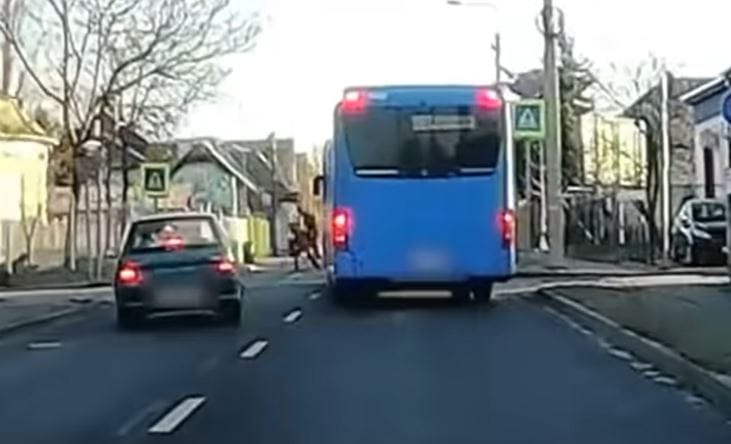Kifordult a kocsi elé a buszos, hogy védje a zebrán átkelő gyereket – videó