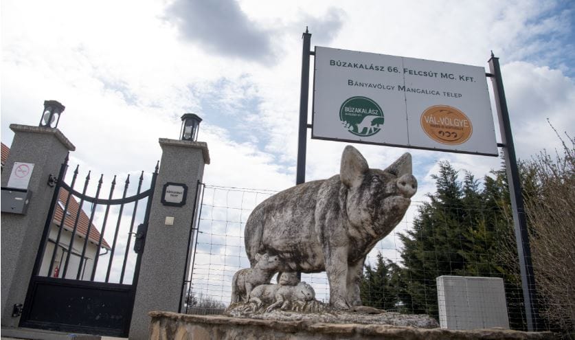 HVG Top 500: osztalékleltár – ilyen az, amikor az oligarchák szerények                