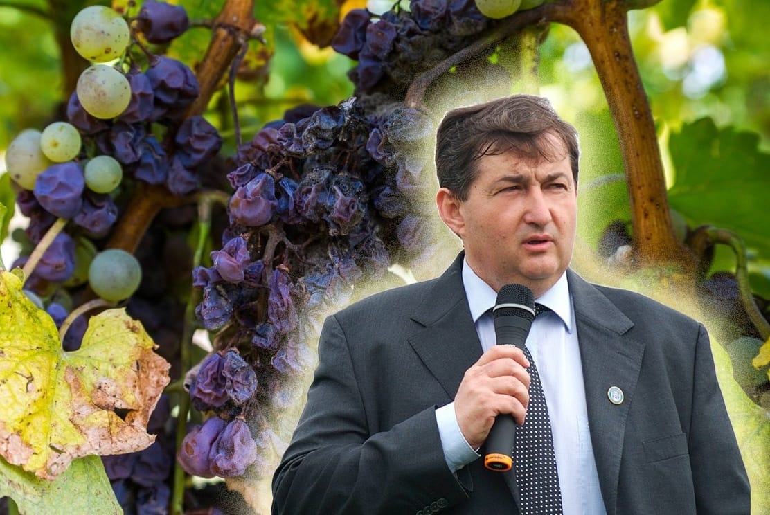 Orbán jó barátja Demján borászata körül legyeskedik