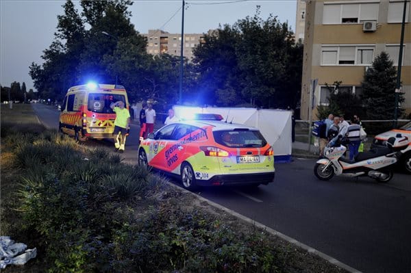 50 km/h-val sem ment L. L. Junior kisfiának gázolója
