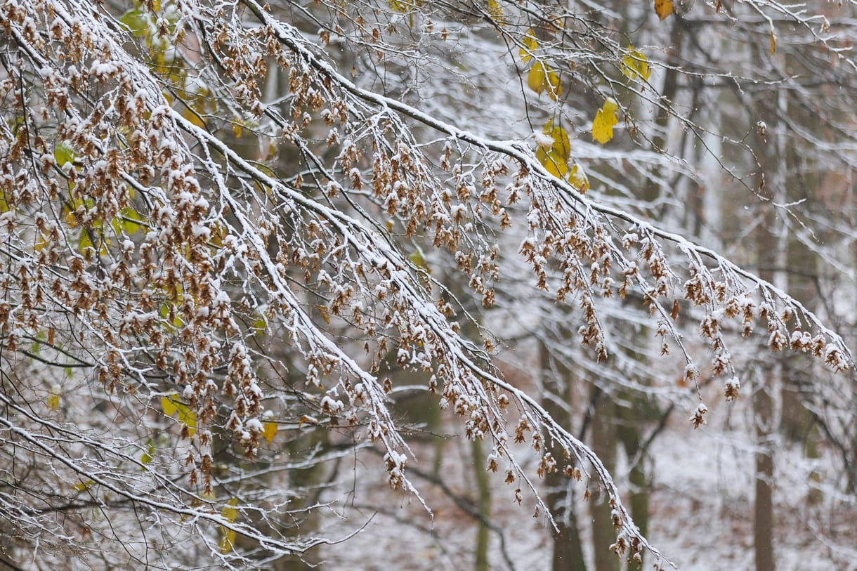 -15,3 fokot mértek, megvan az idei téli szezon leghidegebb reggele
