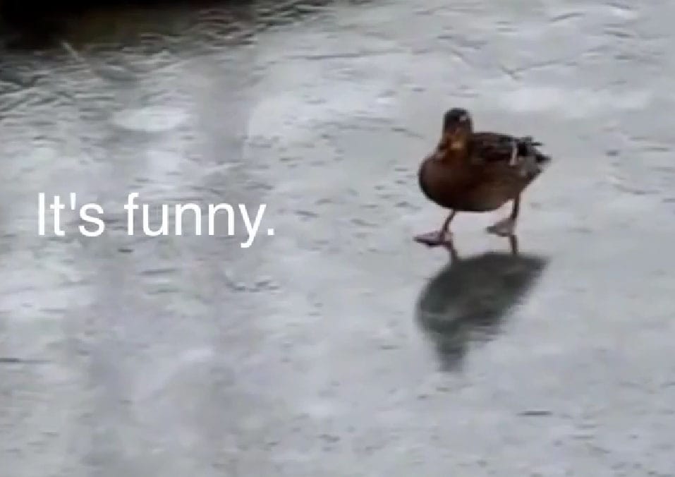 Így kell mókásan emlékeztetni a téli gumi használatára - videó