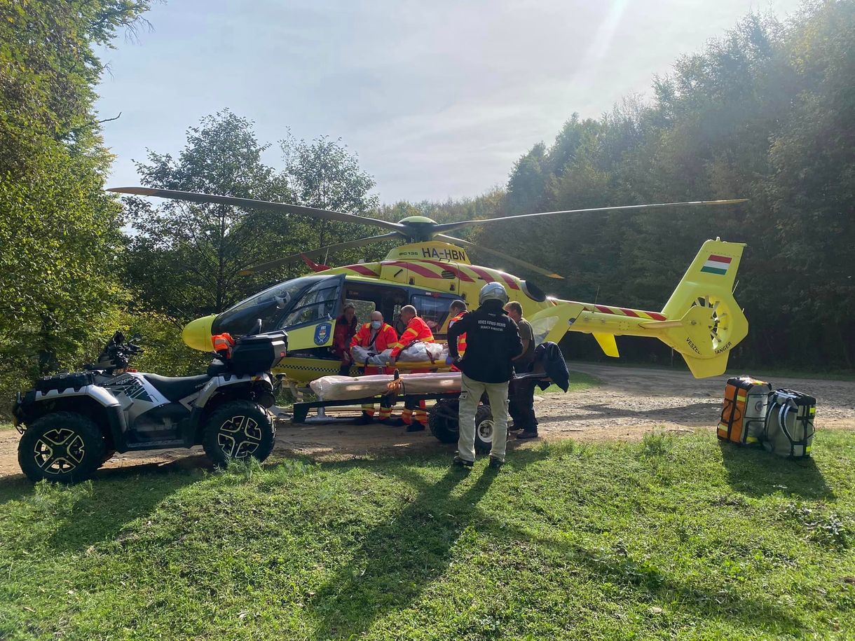 Lódarazsak támadtak meg egy túrázó házaspárt a Mátrában, helikopterrel kellett menteni egyiküket 