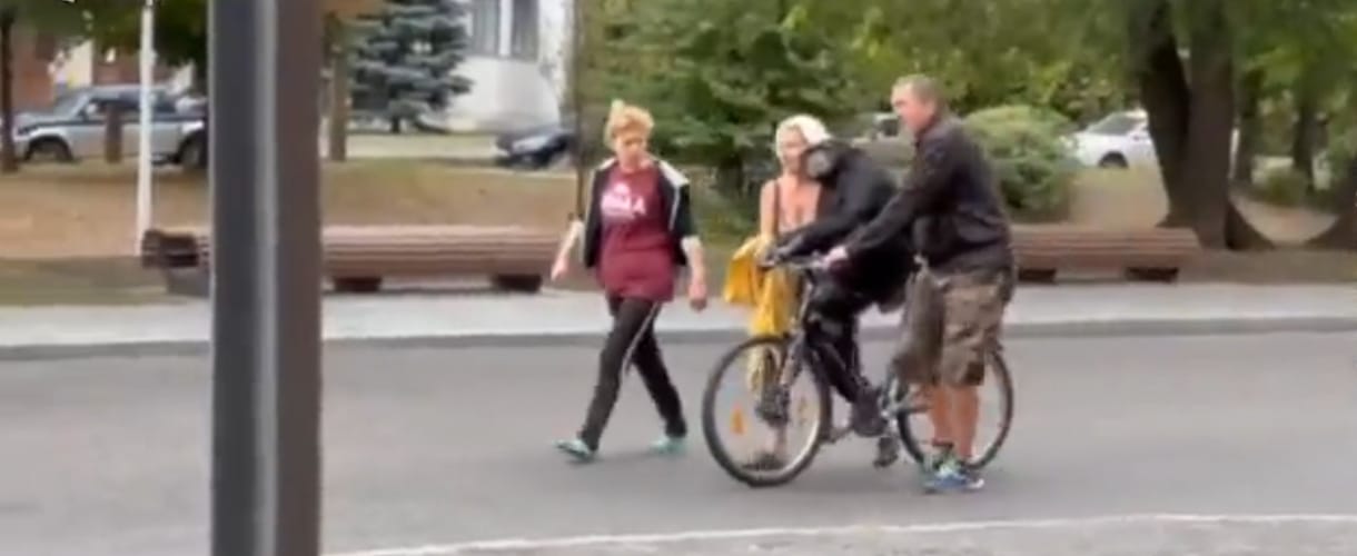 A harkivi állatkert Csicsi nevű csimpánza úgy döntött, hogy ráfér egy szabadnap