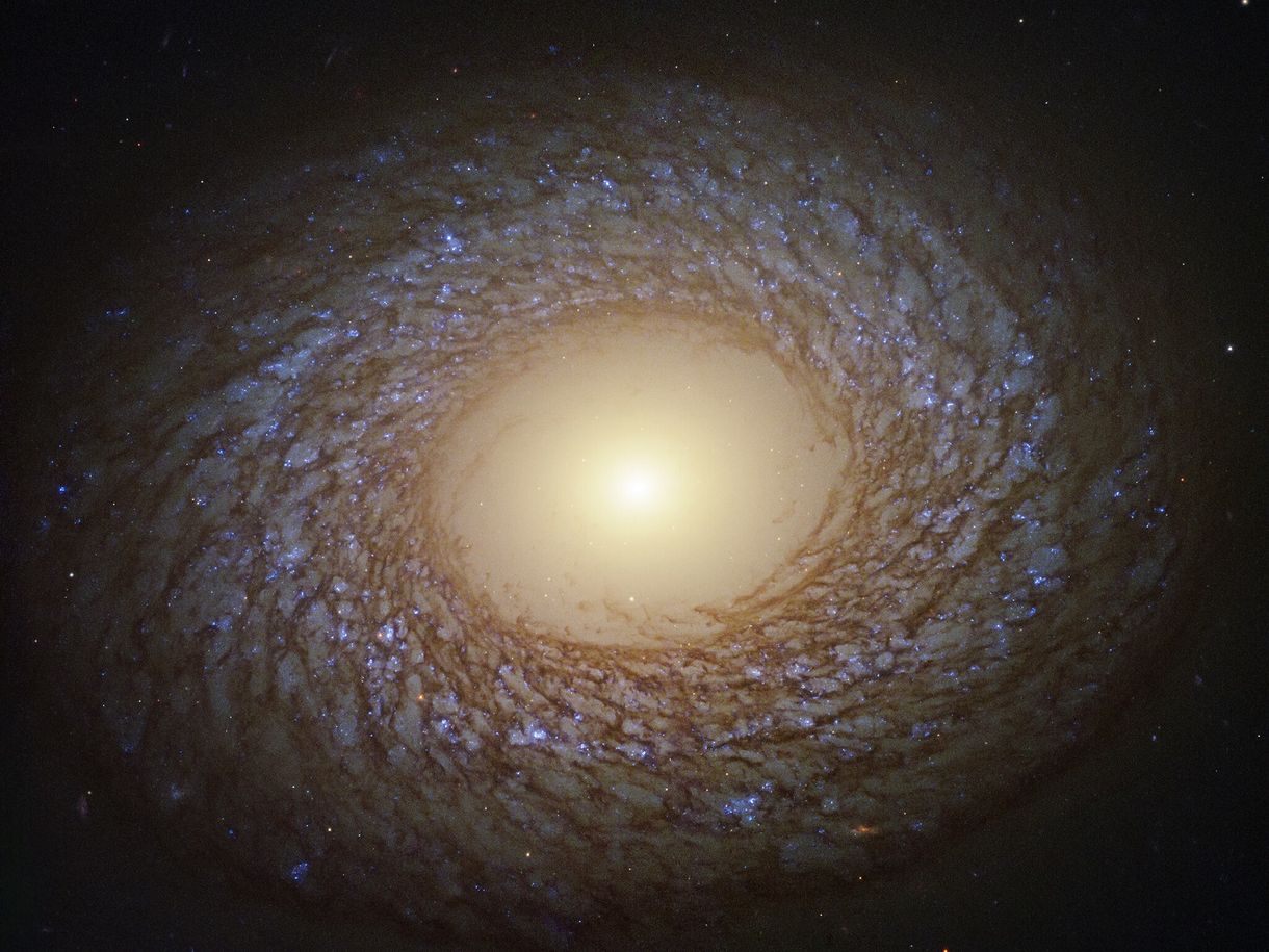Az én hetem: Péterfy Gergely újraindította a belső galaxist