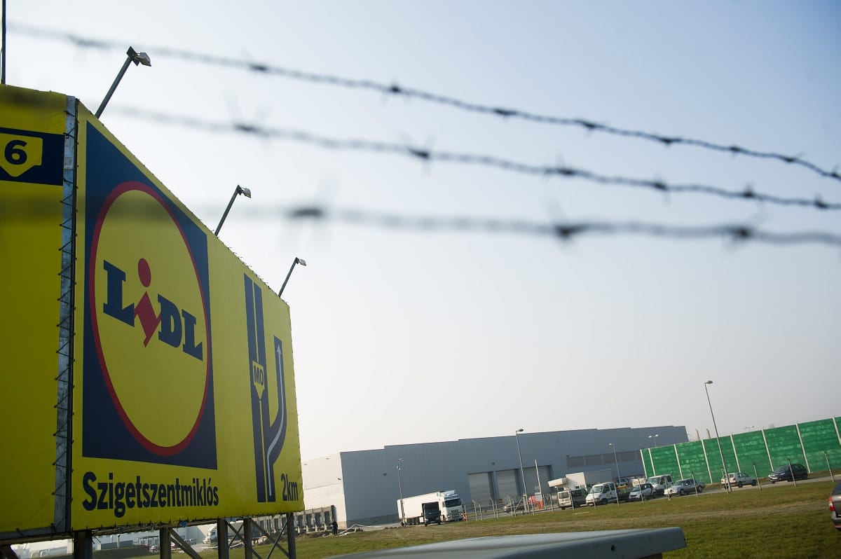 Nagyon tolja a vasárnapi bizniszt a Lidl – nézze meg, hol vásárolhat most hétvégén!