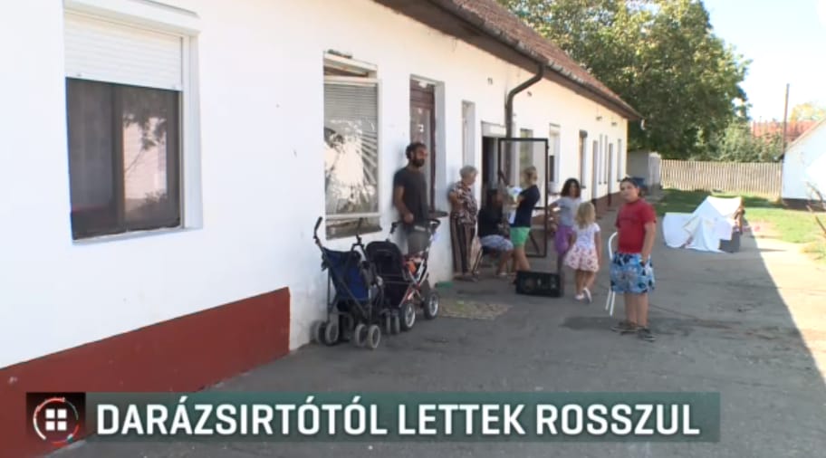 Rovarirtó szertől lettek rosszul többen is Berettyóújfaluban
