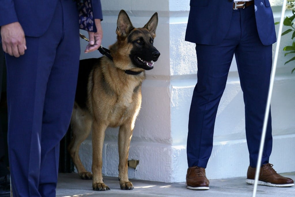 Bidenék megváltak a harapós kutyájuktól