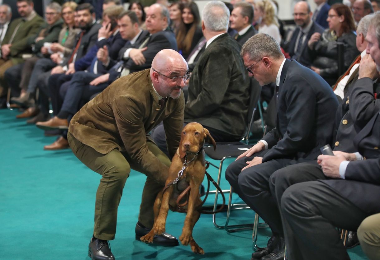 Kovács Zoltán Székelyföld Vadásza lett