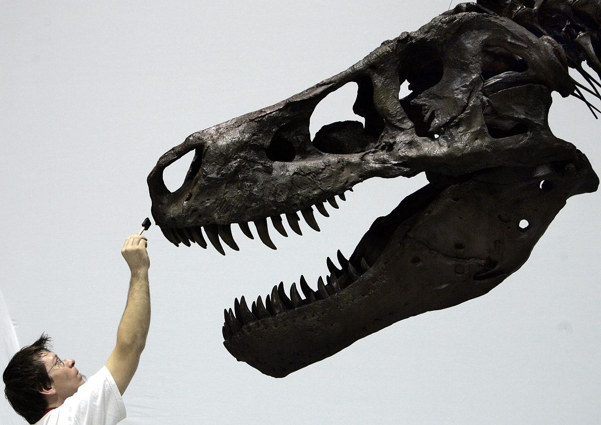 A T-rex olyan lassan sétált, hogy egy ember is lehagyhatta volna