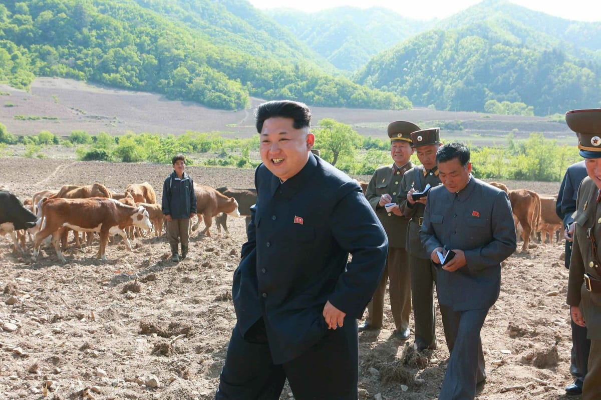 Különös indonéz kitüntetést kapott Kim Dzsong Un