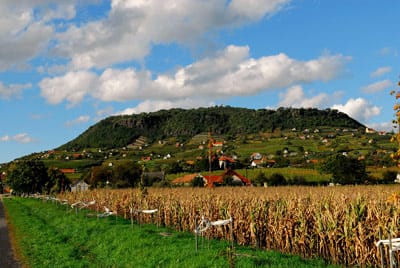 A juhfark ünnepe