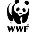 Magyar párt kampányol a pandás logóval, kiakadt a WWF – fotók