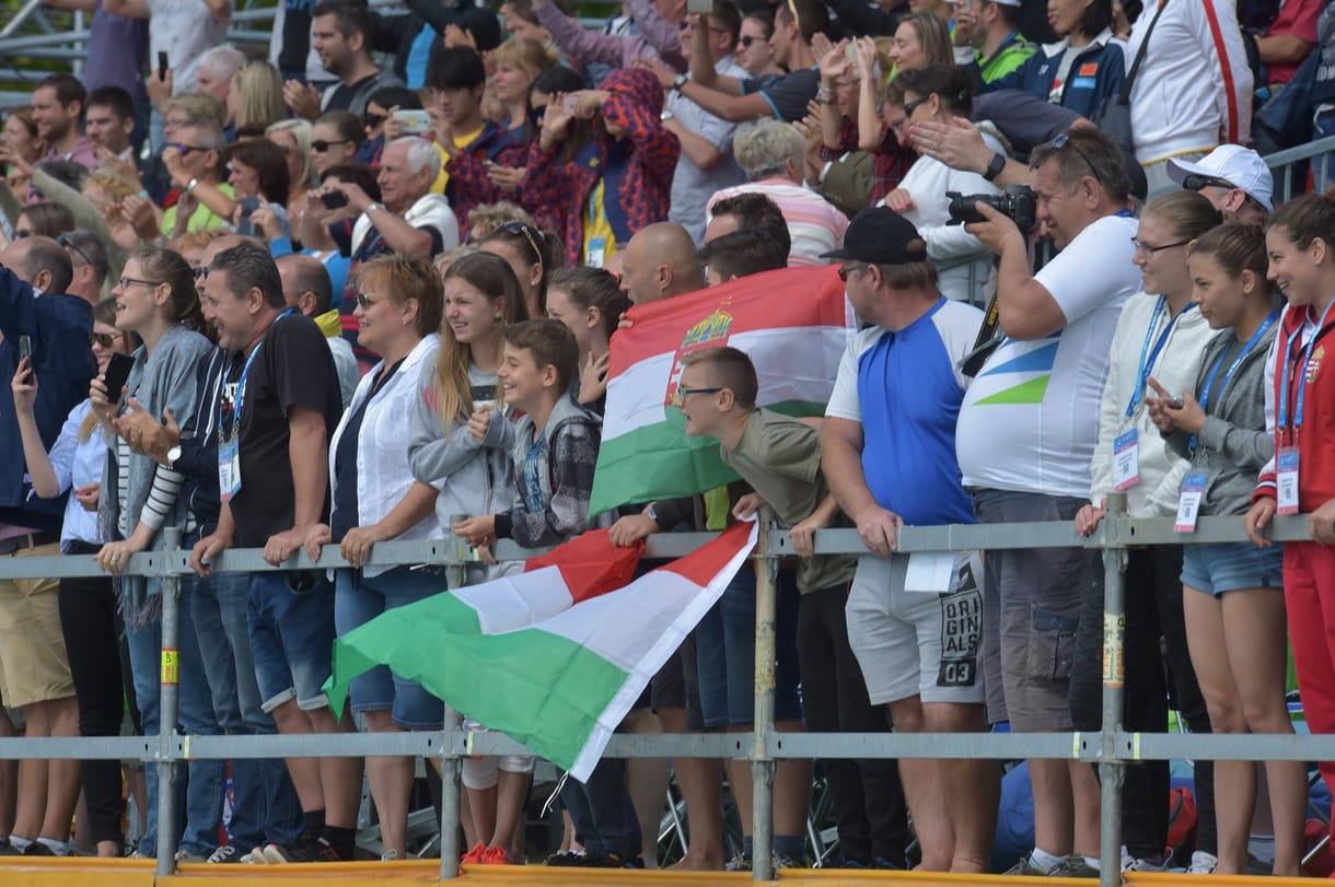 Magyarország-Franciaország 24-5