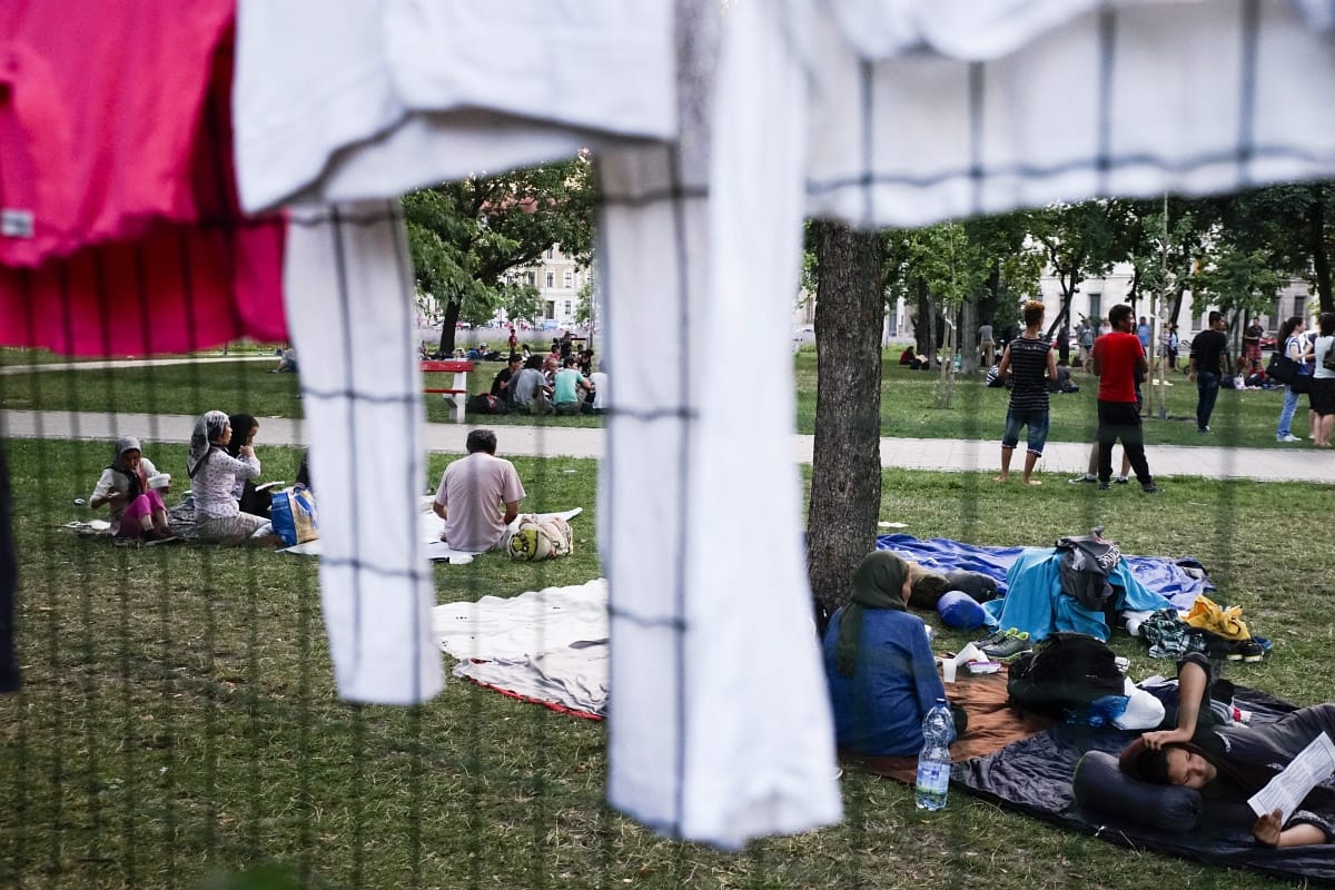Perlik Kocsis Mátét a migránsokat sértő megjegyzései miatt