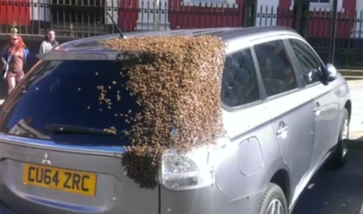 20 ezer méh lepte el a Mitsubishit, nem véletlenül – videó