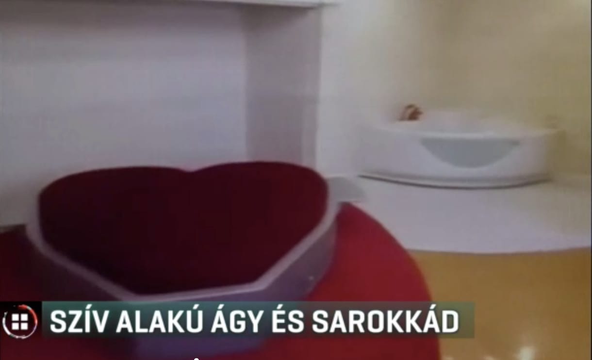 Soron kívüli beszámolót kér az MTA vezetése a szív alakú ágy miatt