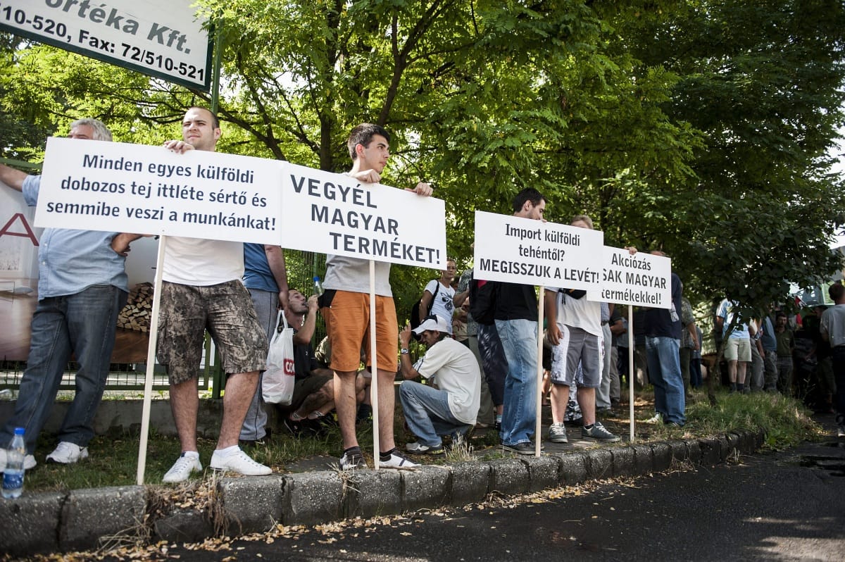 UHT-tejeket ellenőriz a nagykereskedőknél az FM