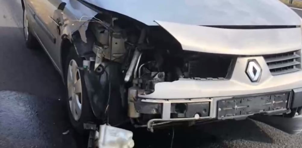 Elütött egy őzet, hiába várt a kártérítésre