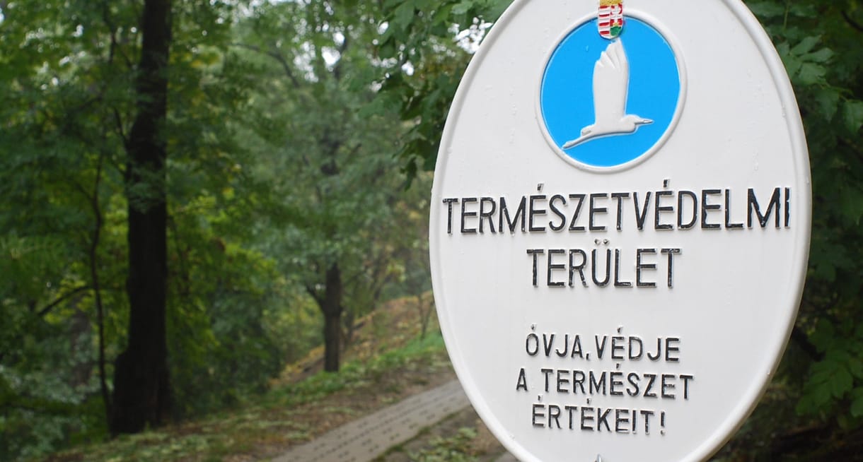 Greenpeace: A kormány kiárusítja a védett természeti területeket
