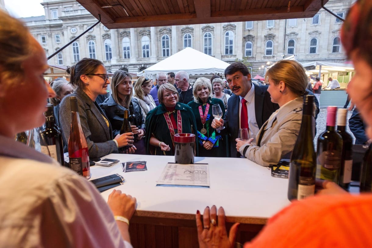 Áder is poharazott a Várban - fotó