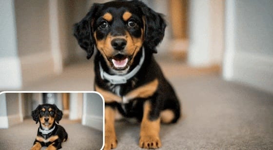 Képet és videót is készít a Google két mesterséges intelligenciája, de a példákon látszik, hogy van még gond velük