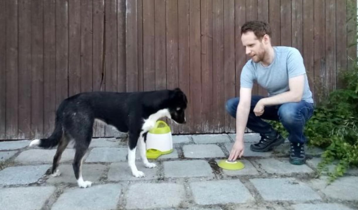 Mit tehetünk, ha a kutyánk nem akar enni?