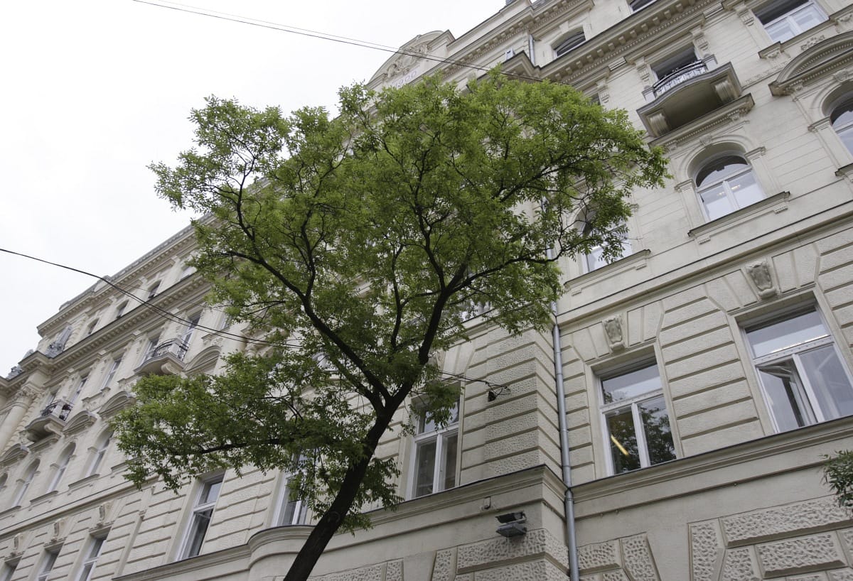 A MFB 38 milliárdos veszteséggel zárt