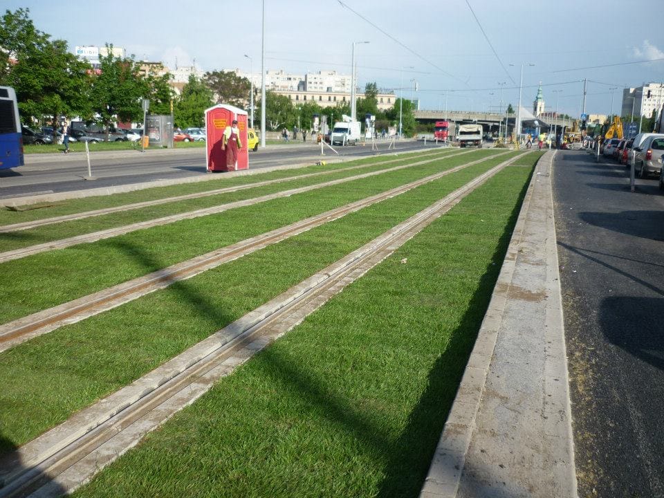 Fotók: kizöldült, rá sem lehet ismerni az 1-es villamos pályájára